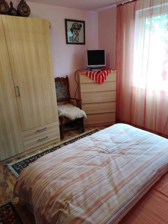 Casa Traditionala Subcetate Subcetate  Buitenkant foto