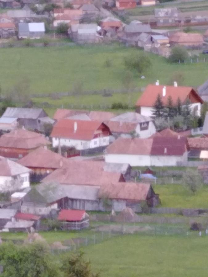 Casa Traditionala Subcetate Subcetate  Buitenkant foto