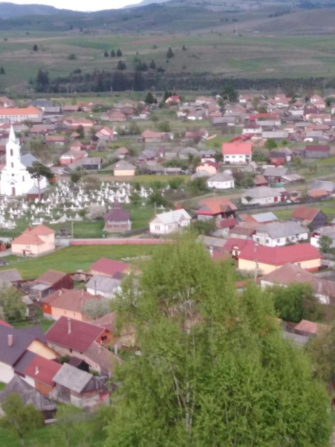 Casa Traditionala Subcetate Subcetate  Buitenkant foto