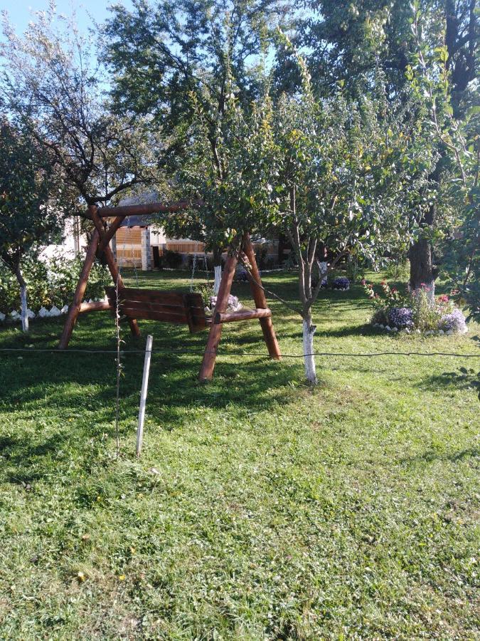 Casa Traditionala Subcetate Subcetate  Buitenkant foto
