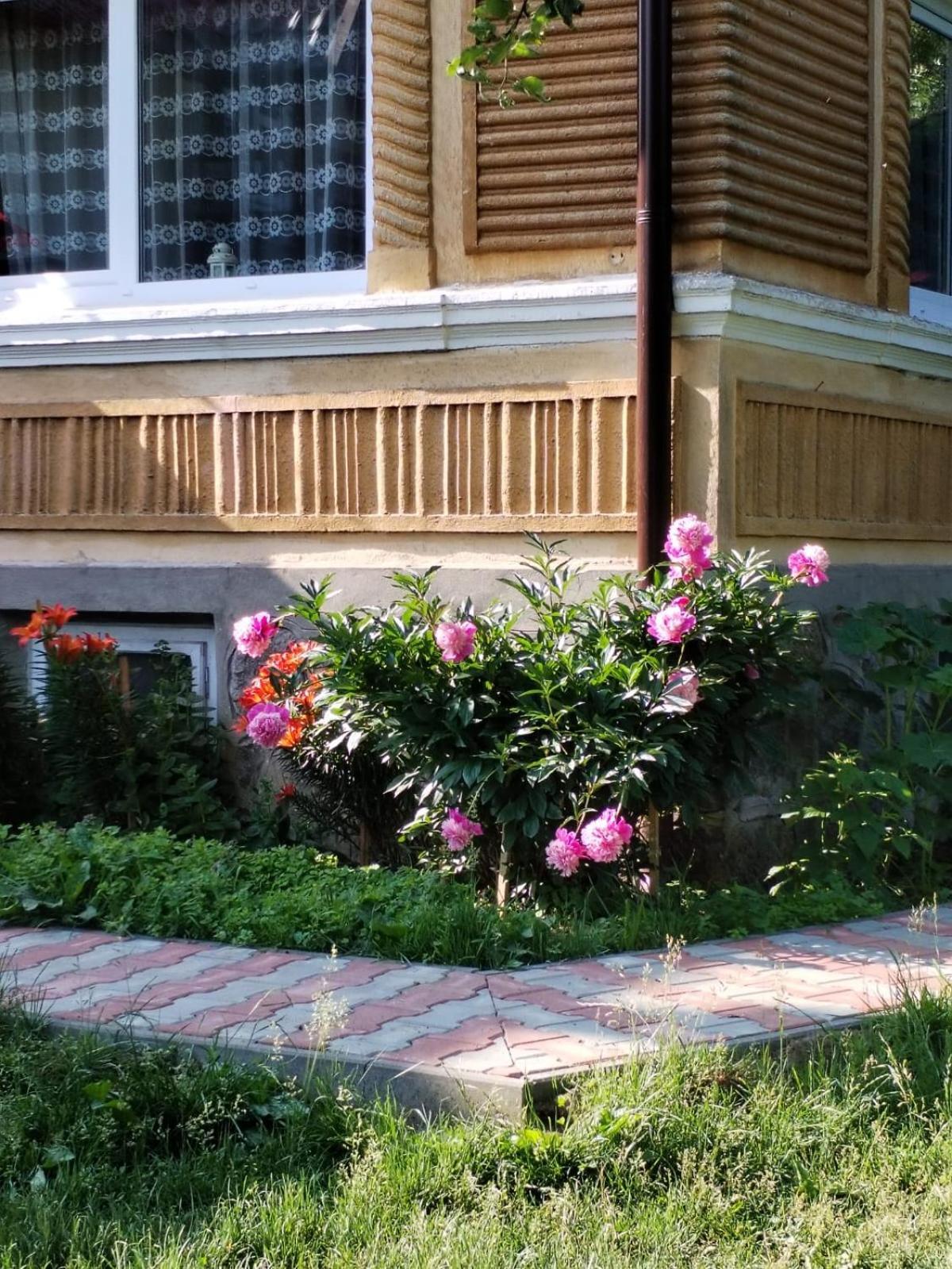 Casa Traditionala Subcetate Subcetate  Buitenkant foto
