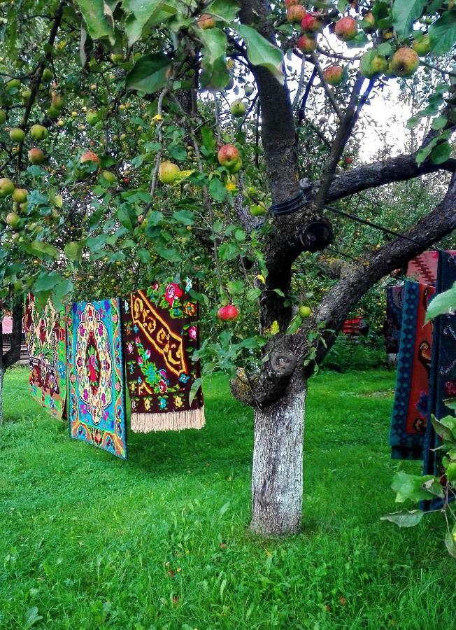 Casa Traditionala Subcetate Subcetate  Buitenkant foto