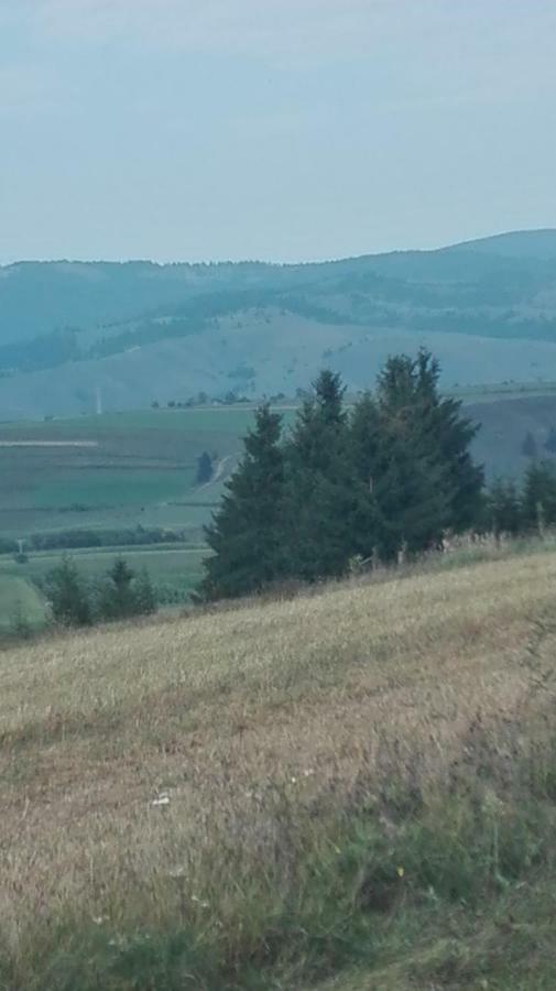 Casa Traditionala Subcetate Subcetate  Buitenkant foto