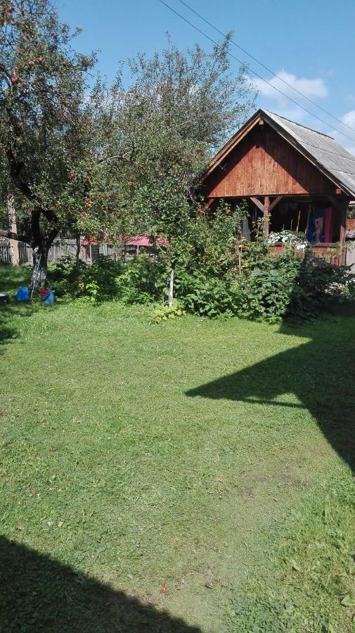 Casa Traditionala Subcetate Subcetate  Buitenkant foto