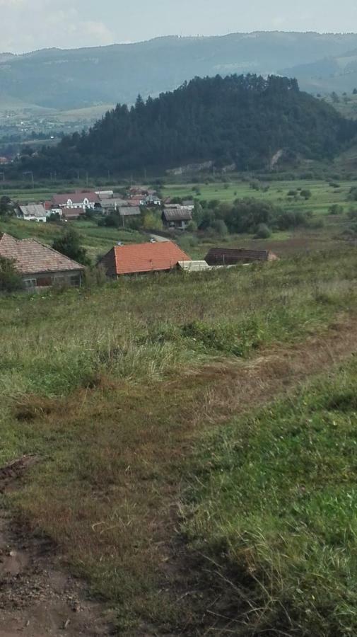 Casa Traditionala Subcetate Subcetate  Buitenkant foto