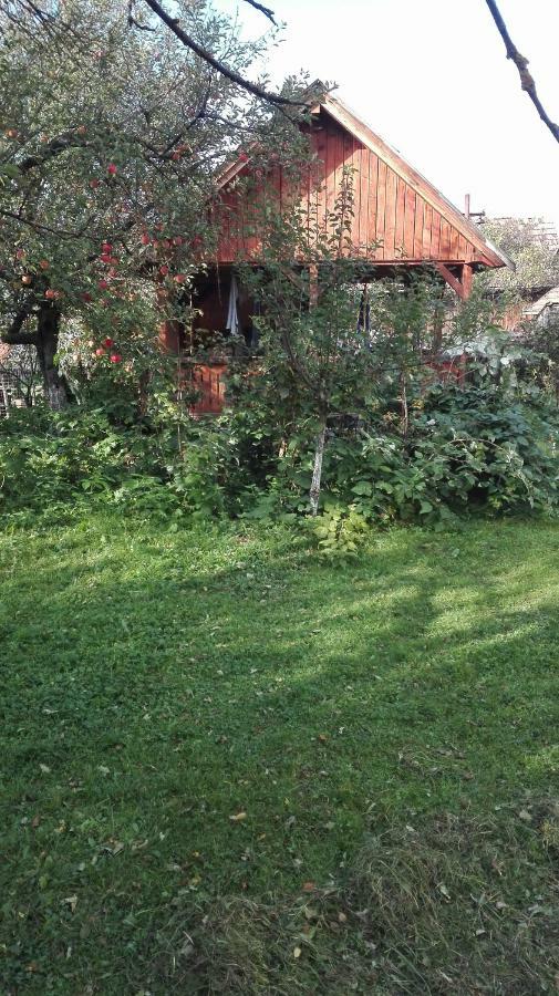 Casa Traditionala Subcetate Subcetate  Buitenkant foto