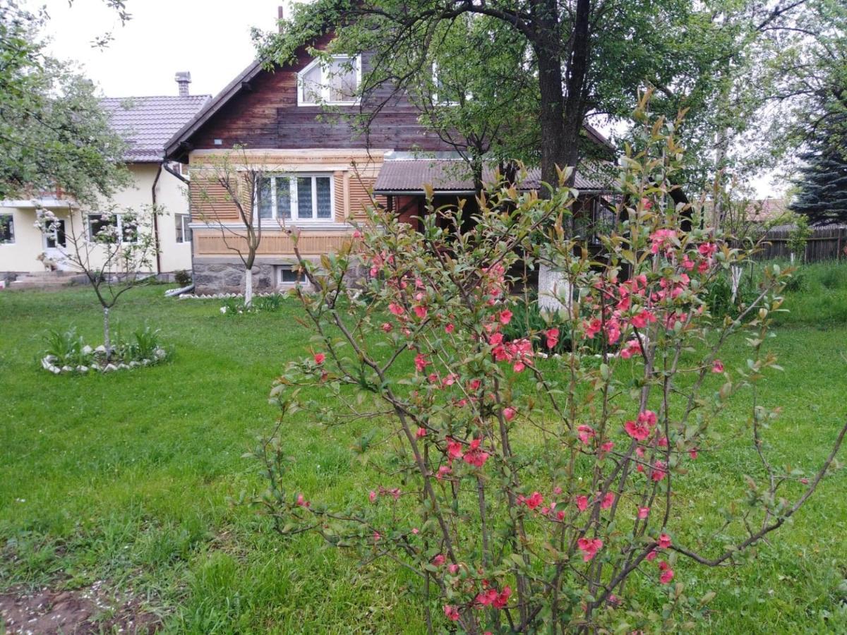 Casa Traditionala Subcetate Subcetate  Buitenkant foto